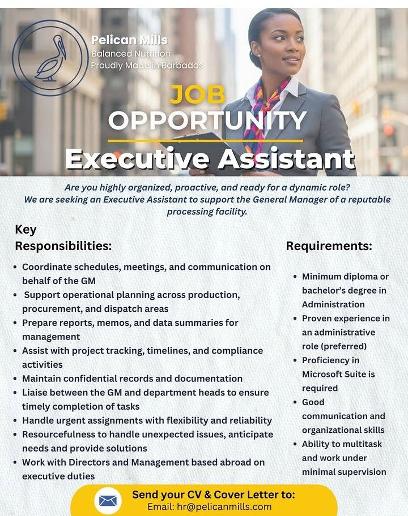 Executive Assistant job