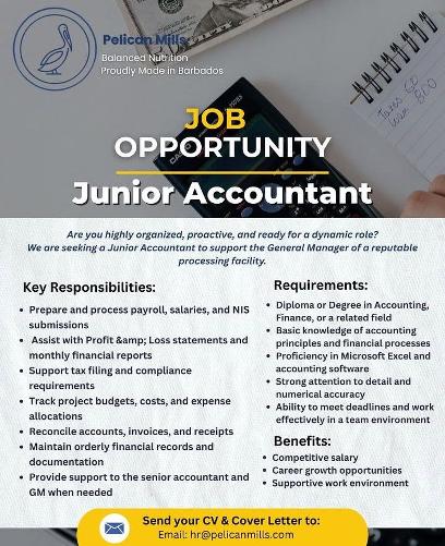 Junior accountant job