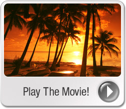 Travel business movie